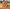 Log Cabin Throw Size Quilt - Reflections of Autumn II Kit