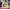 Joy to the World Quilt Kit RESERVE