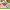 Free Quilting Downloads and Video Tutorials