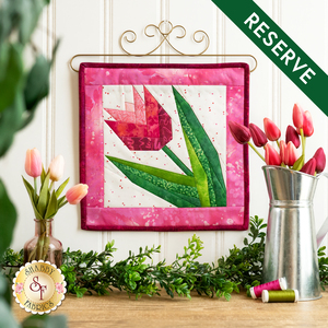 link to Foundation Paper Piecing Kit - April