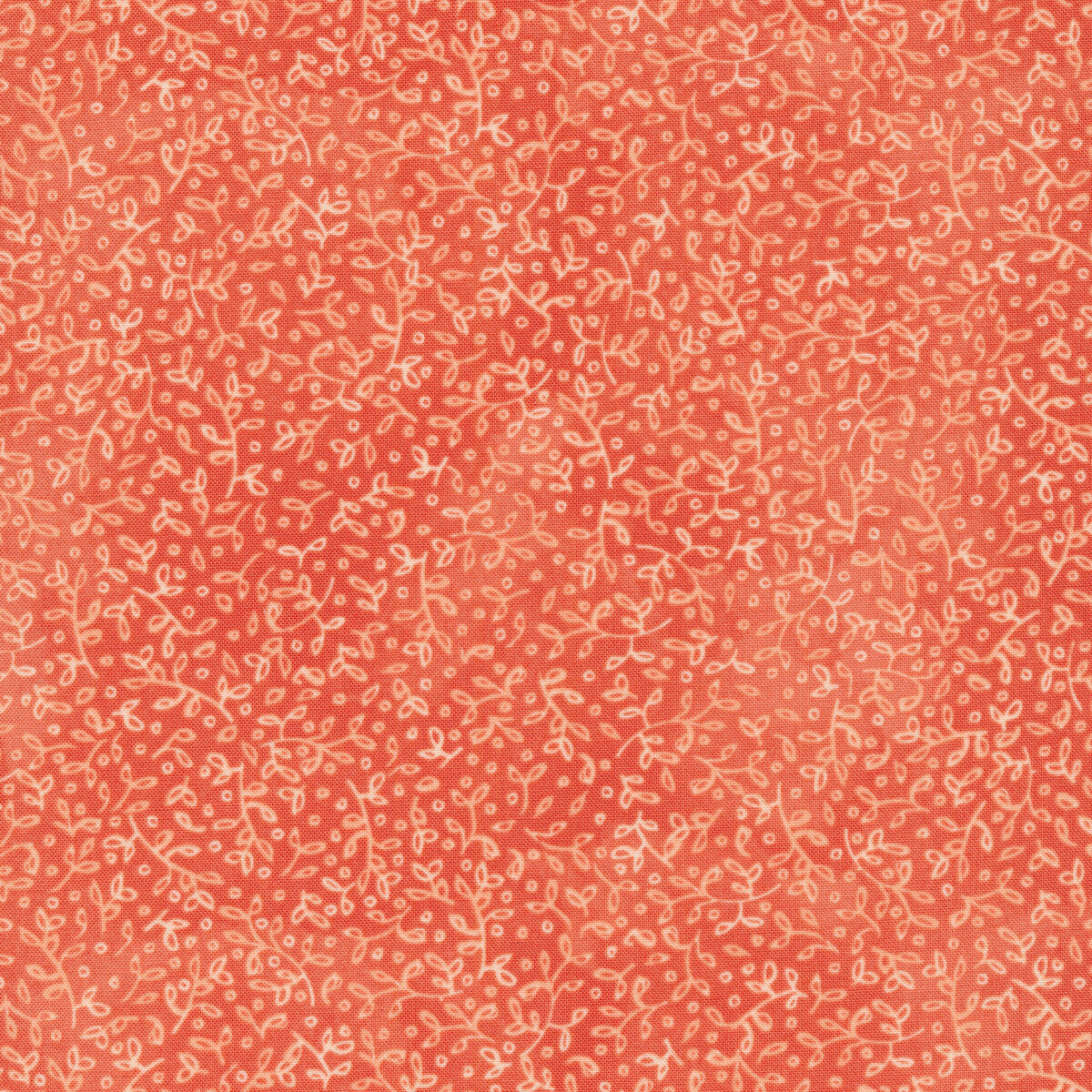 Carolina Lilies 48704-13 by Robin Pickens for Moda Fabrics | Shabby Fabrics