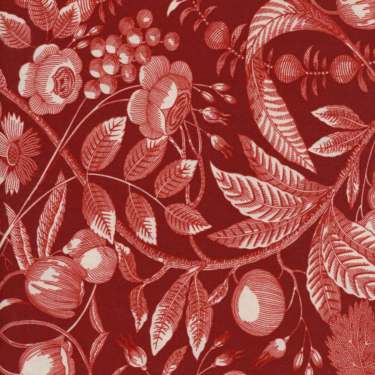 Strawberries and Cream A354R Candy by Edyta Sitar for Andover Fabrics