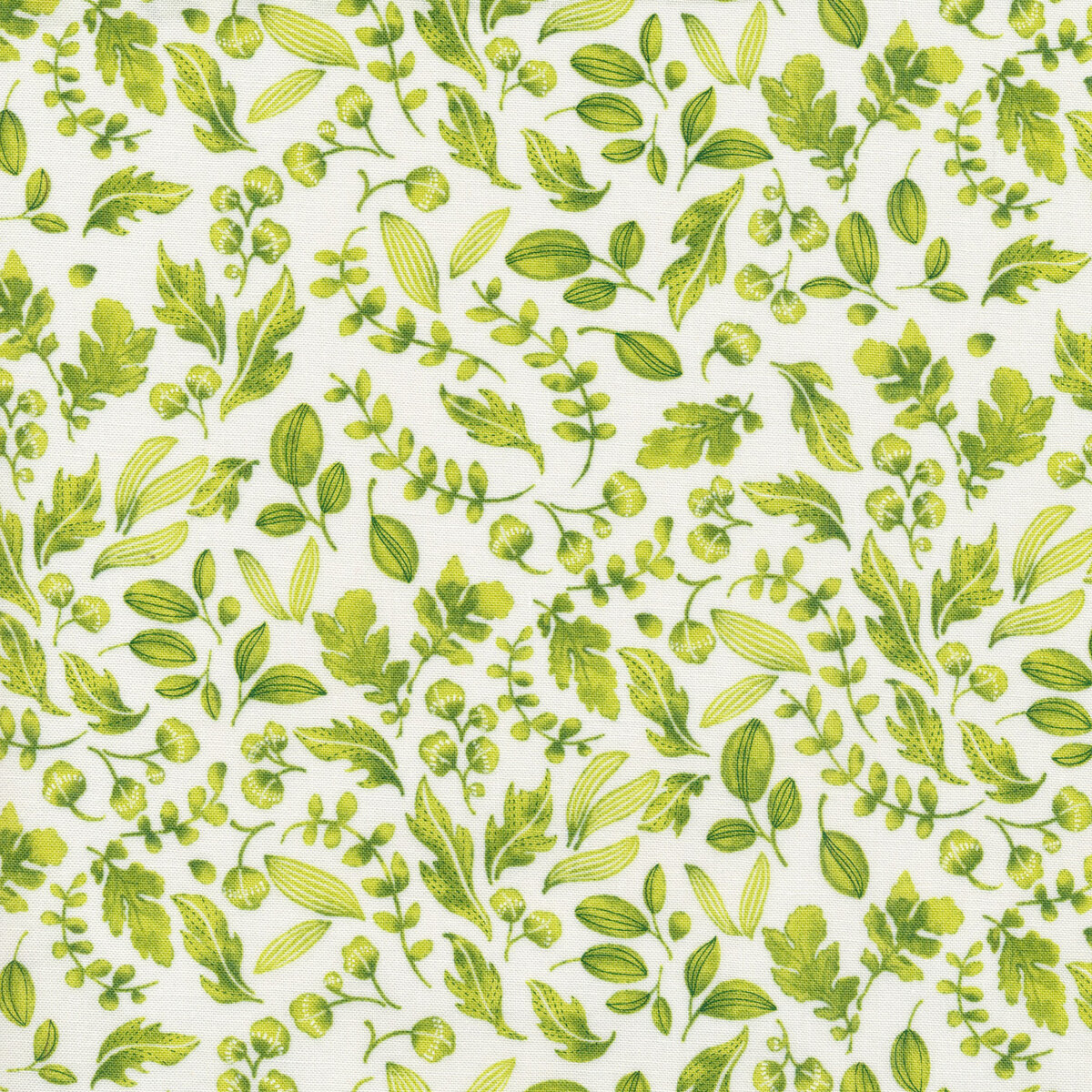 Wild Blossoms 48736-31 by Robin Pickens for Moda Fabrics | Shabby Fabrics