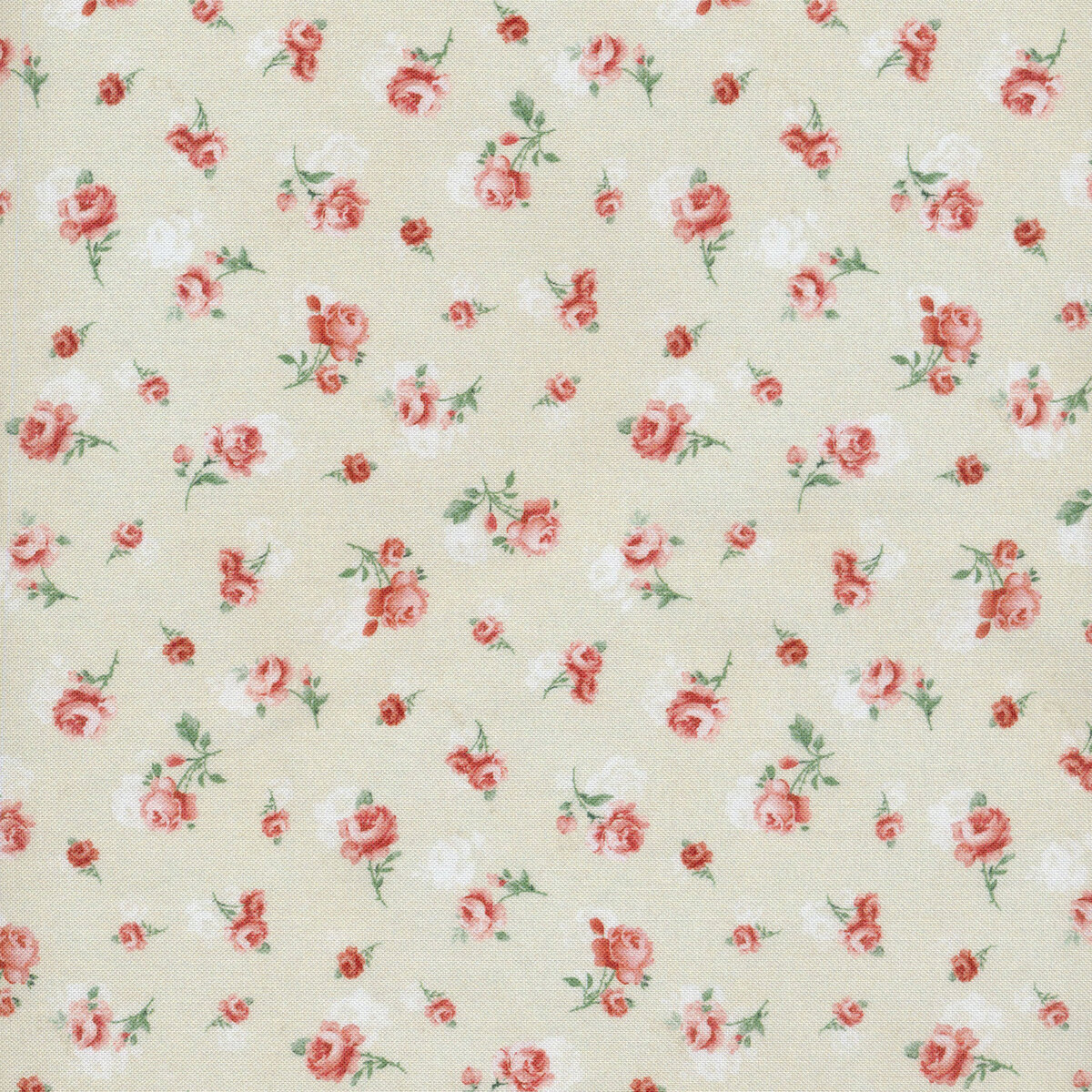 Jardin CD2565-Cream from Timeless Treasures Fabrics | Shabby Fabrics