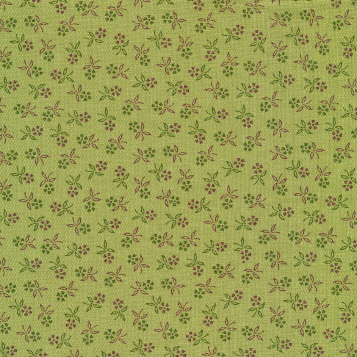 Autumn C14664-LETTUCE by Lori Holt for Riley Blake Designs | Shabby Fabrics