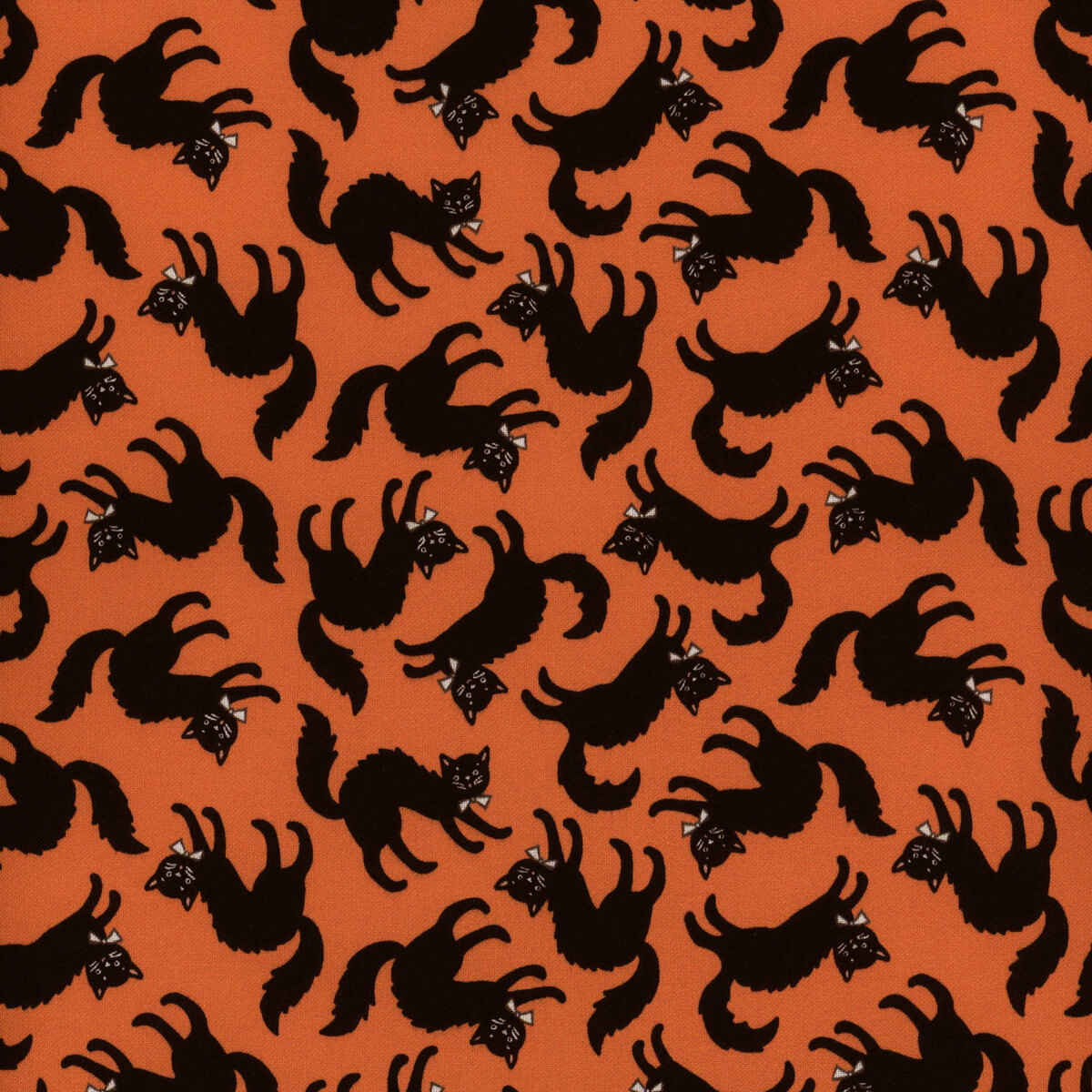 Sweet Tooth: Scaredy Cat in Orange