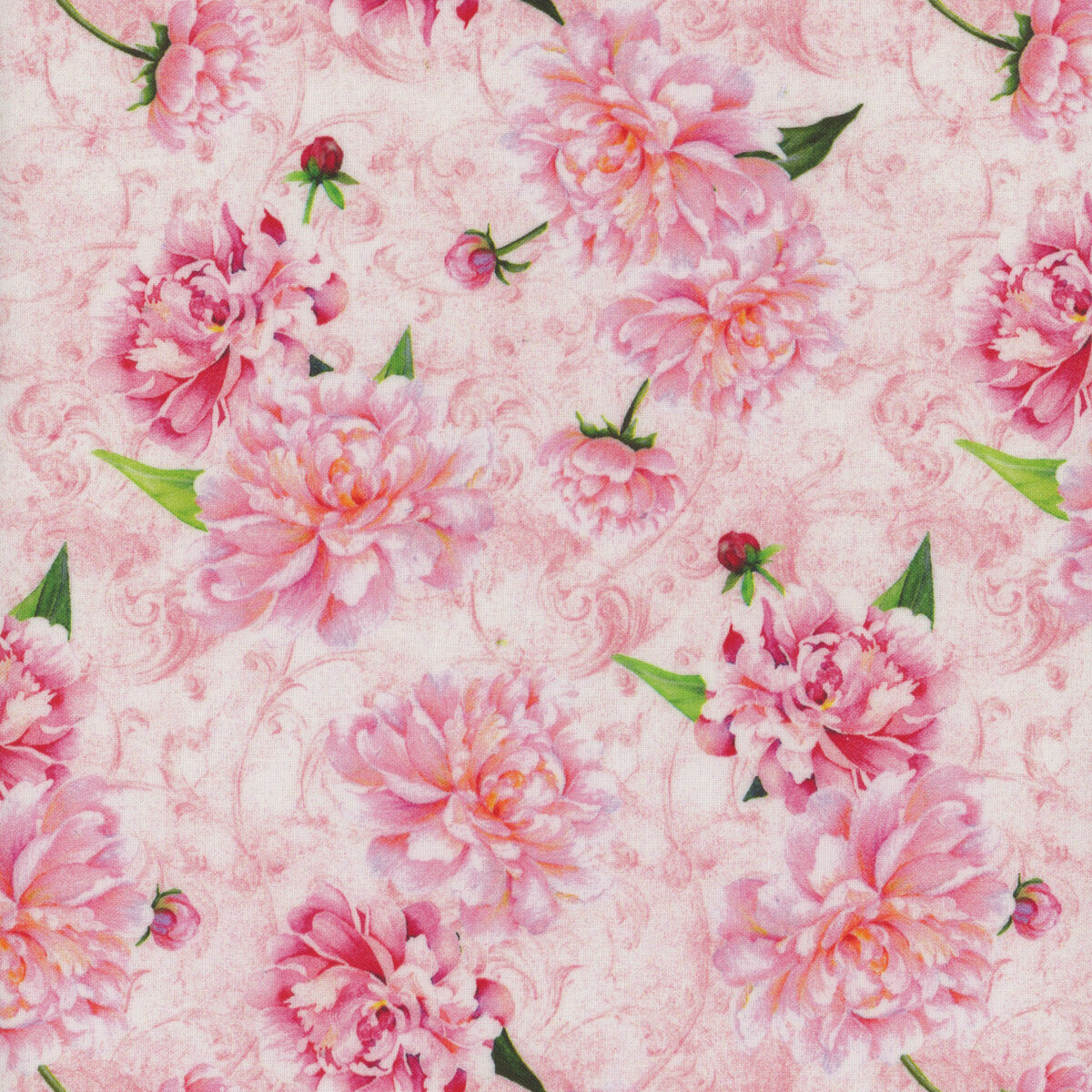 ESTIVO(上) secret garden(下) size:L Lois Top Secret Garden | e. Allen Boutique