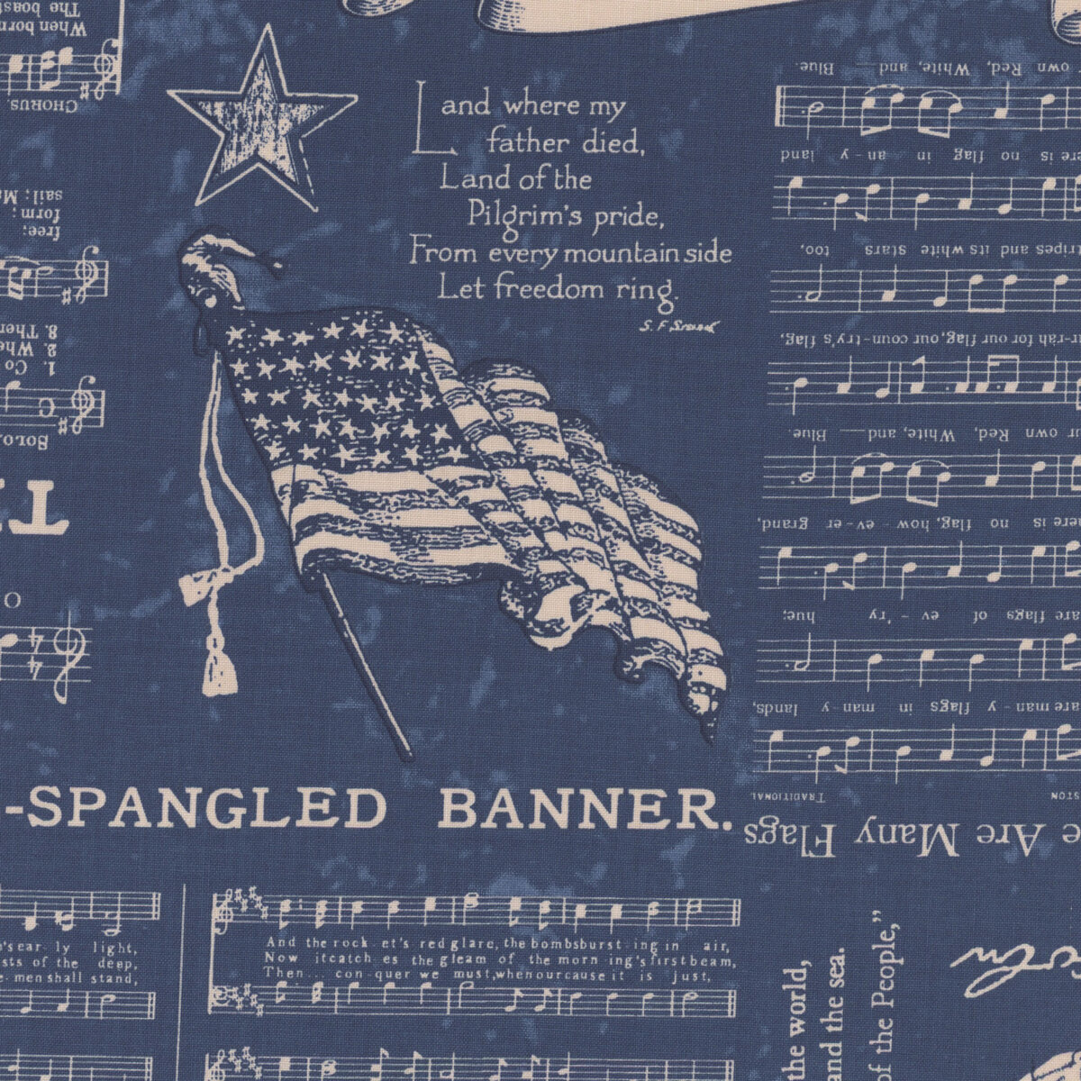 pid-183062-f-americana-c16080-