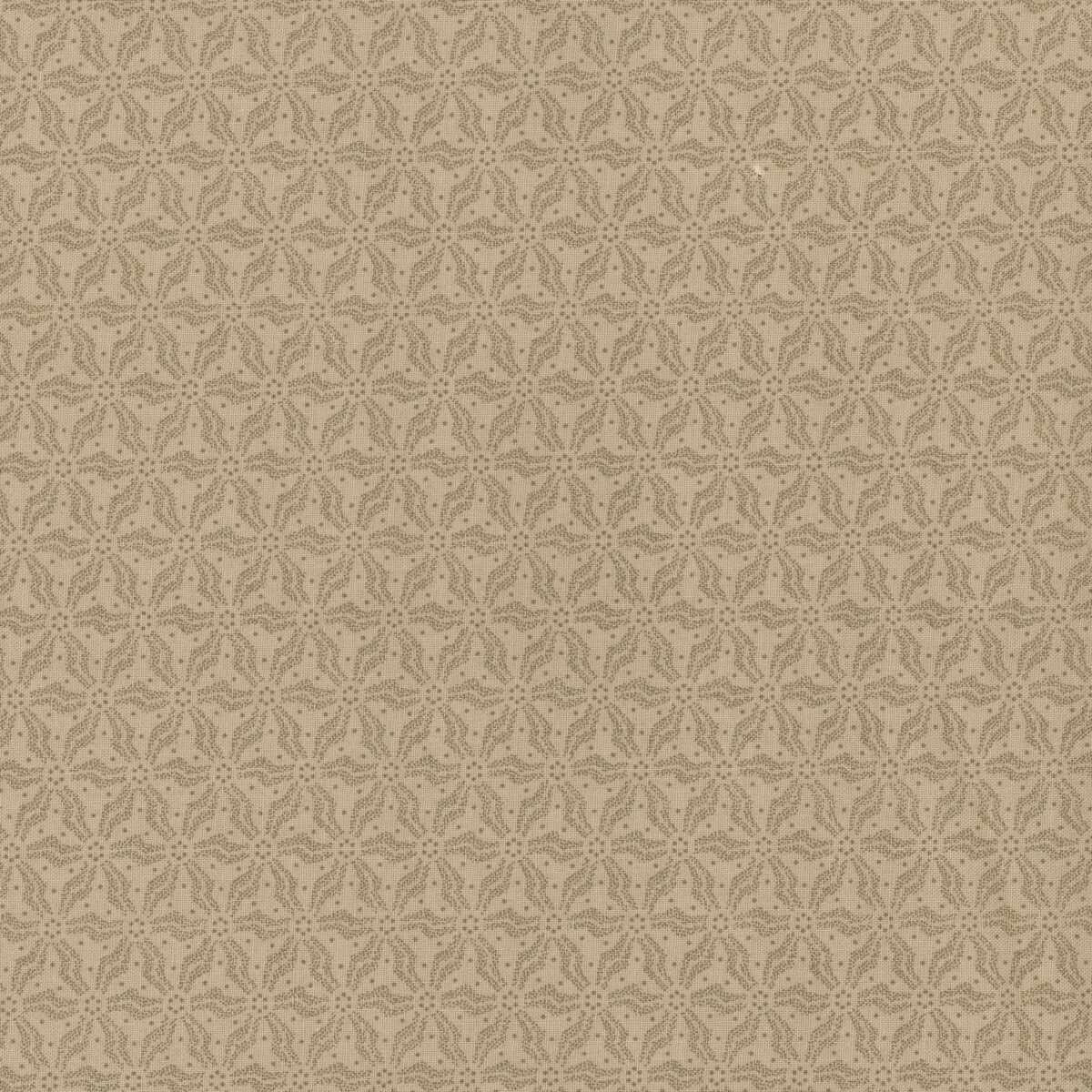 Dark & Stormy MAS10447-E Cream by Maywood Studio | Shabby
