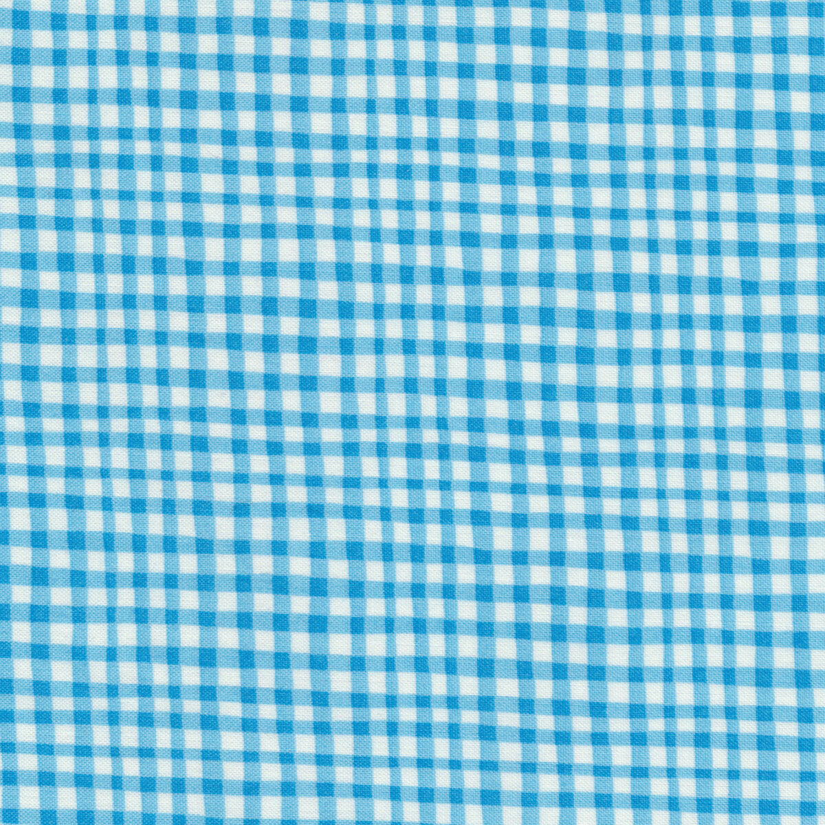 Gingham Play CX7161-BLUE-D from Michael Miller Fabrics