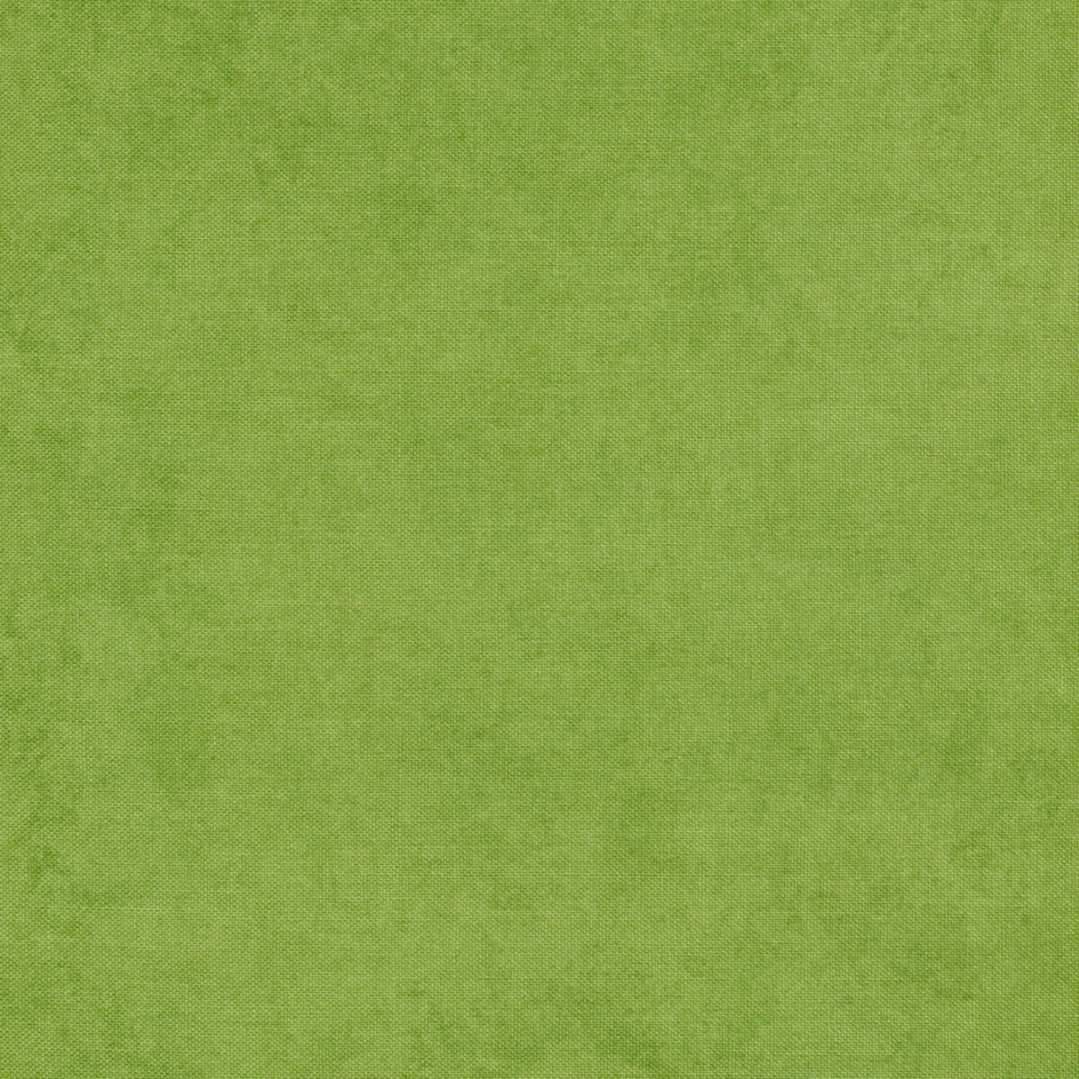 Shadow Play 513-GG5 Spring Green by Maywood Studio | Shabby Fabrics