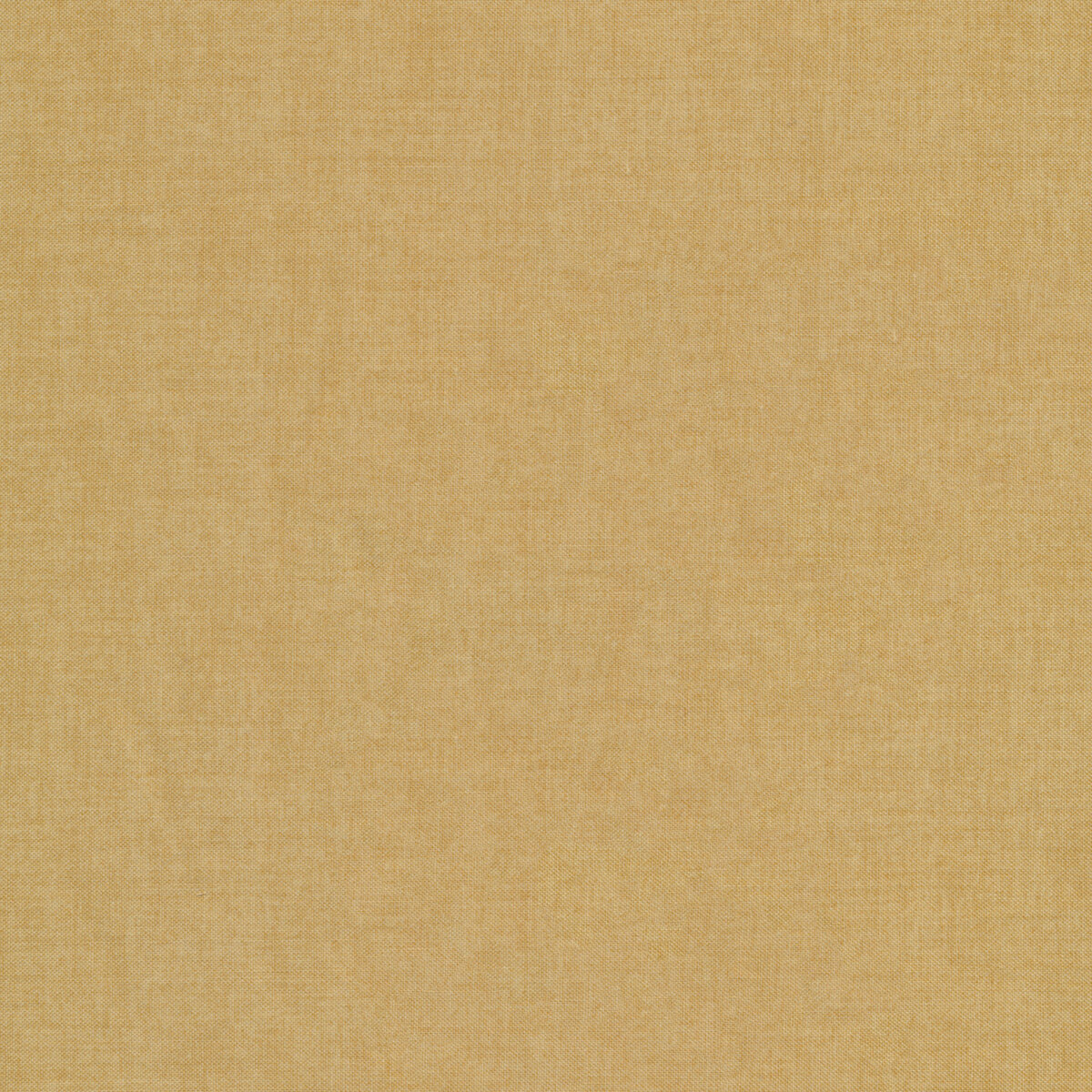 【586389】木 : Savoir & Faire Tree & Wood (木) Le bois Collection 