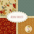 go to Acorn Harvest