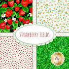 go to Strawberry Fields