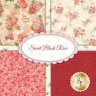 go to Sweet Blush Rose