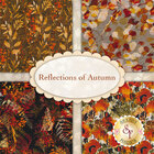go to Reflections of Autumn