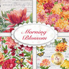 go to Morning Blossom