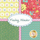 go to Finding Wonder