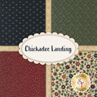 go to Chickadee Landing