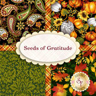 go to Seeds of Gratitude