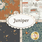 go to Juniper