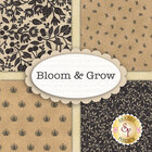 go to Bloom & Grow