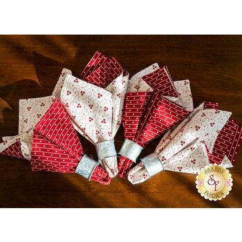 Cloth Napkins Kit - American Gathering - Makes 4