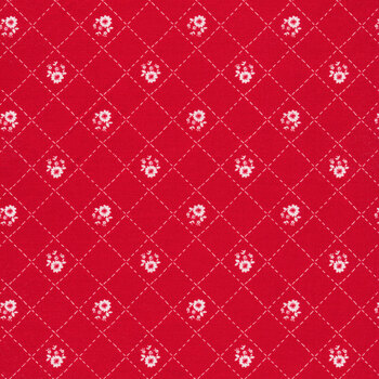 Red Hot C11682-RED by Tasha Noel for Riley Blake Designs
