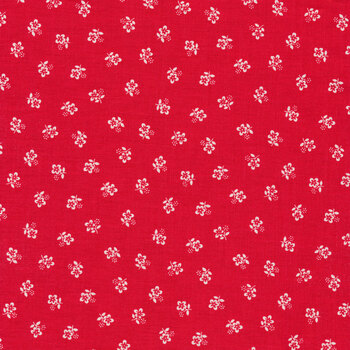 Red Hot C11690-RED by Gerri Robinson for Riley Blake Designs