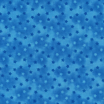 Party Line 1809-77 Tonal Stars by Blank Quilting Corporation