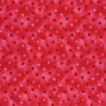 Party Line 1809-88 Tonal Stars by Blank Quilting Corporation