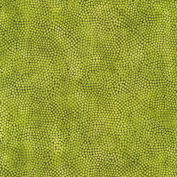 Sunshine 10SS-1 Dots Green by Jason Yenter for In The Beginning Fabrics