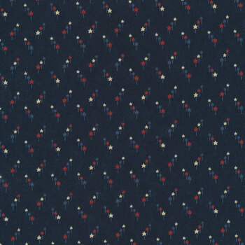 Freedom Road 9692-14 Blue Multi by Kansas Troubles Quilters from Moda Fabrics