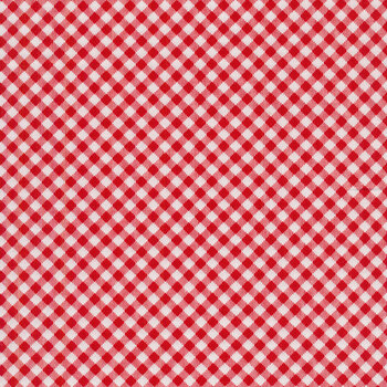 Bee Ginghams C12551-RED by Lori Holt for Riley Blake Designs REM