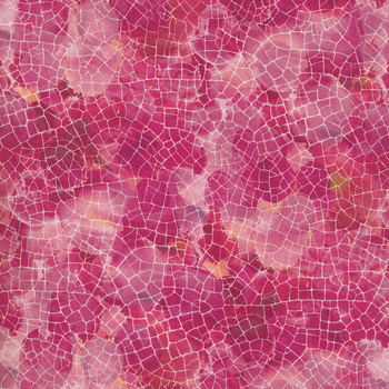 Dragonfly Dreams DP24834-28 by Deborah Edwards for Northcott Fabrics