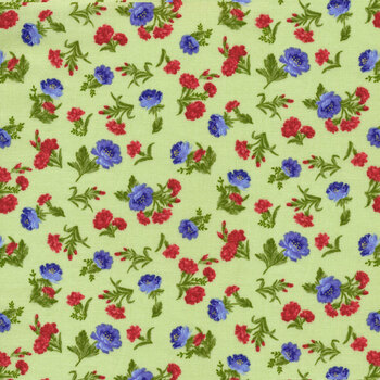 Jubilee 21104-375 Sprout by Debbie Beaves for Robert Kaufman Fabrics REM