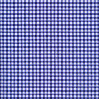 Flowerhouse Basics 20014-77 Blueberry by Debbie Beaves for Robert Kaufman Fabrics
