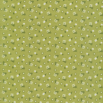 Calico C12843-LETTUCE by Lori Holt for Riley Blake Designs
