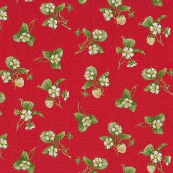 2.5 x 10 yds. Strawberries with Flowers