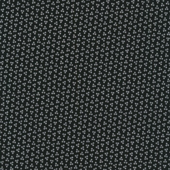 Opposite Options R310371-BLACK by Marcus Fabrics