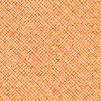 Whisper Weave 13610-34 Apricot by Nancy Halvorsen for Benartex