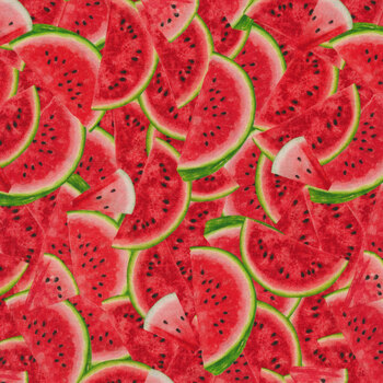 Watermelon Party FRUIT-CD1922-Multi from Timeless Treasures Fabrics