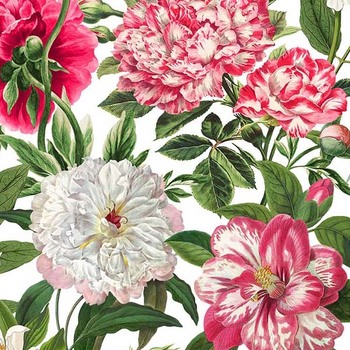 Bloom 25193-10 by Michelle Design Works for Northcott Fabrics