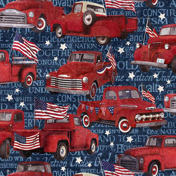 Stars & Stripes 11 DP25336-49 by Linda Ludovico for Northcott Fabrics