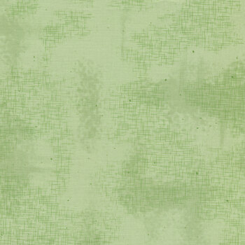 Shabby C605-SWEETMINT by Lori Holt for Riley Blake Designs