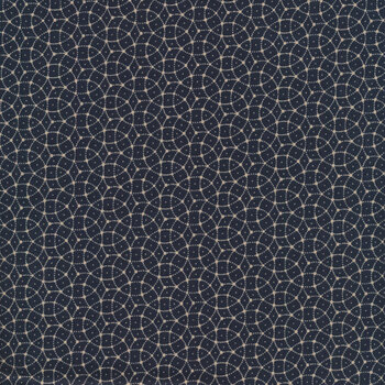 Back To Basics 9720-14 Blueberry by Kansas Troubles Quilters from Moda Fabrics