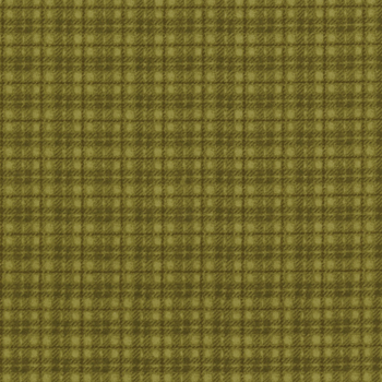 Woolies Flannel 18502-G3 by Bonnie Sullivan For Maywood Studio