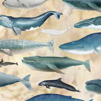 Siren's Call 29993-E Whales by Dan Morris for QT Fabrics
