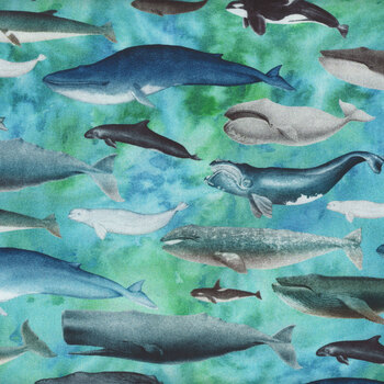 Siren's Call 29993-Q Whales by Dan Morris for QT Fabrics