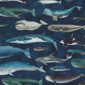 Siren's Call 29993-W Whales by Dan Morris for QT Fabrics